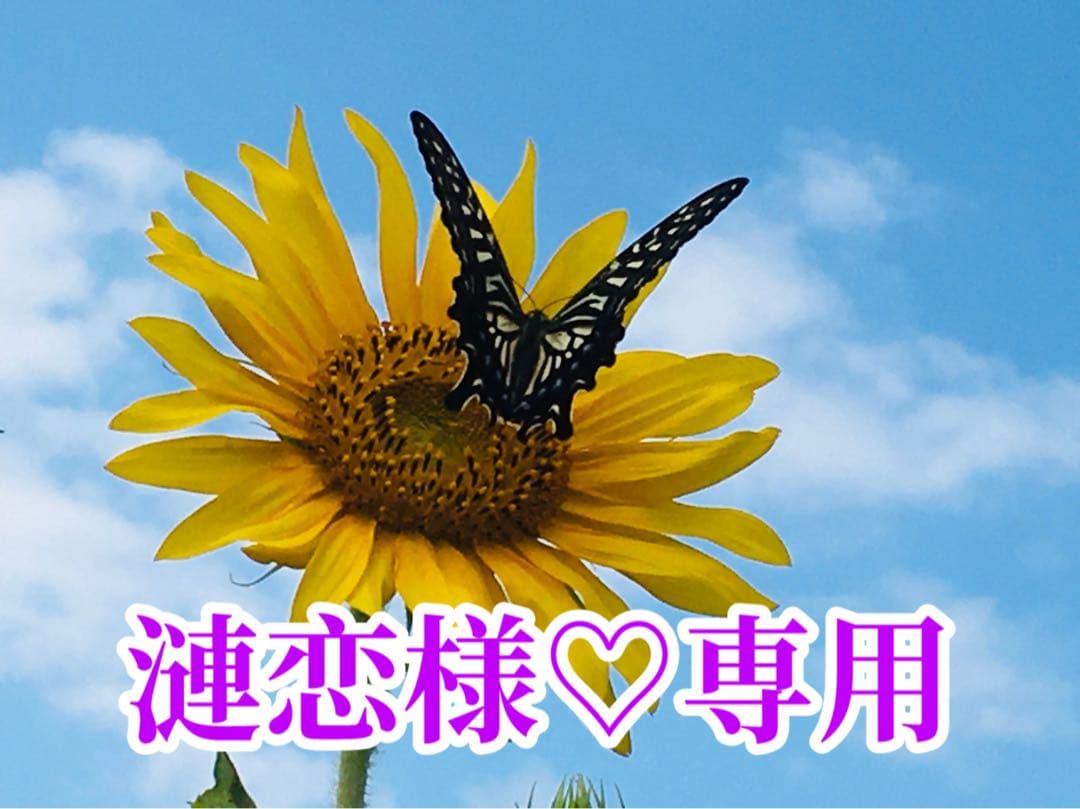 漣恋様❤️おまとめ専用ページです。5/20まで♡