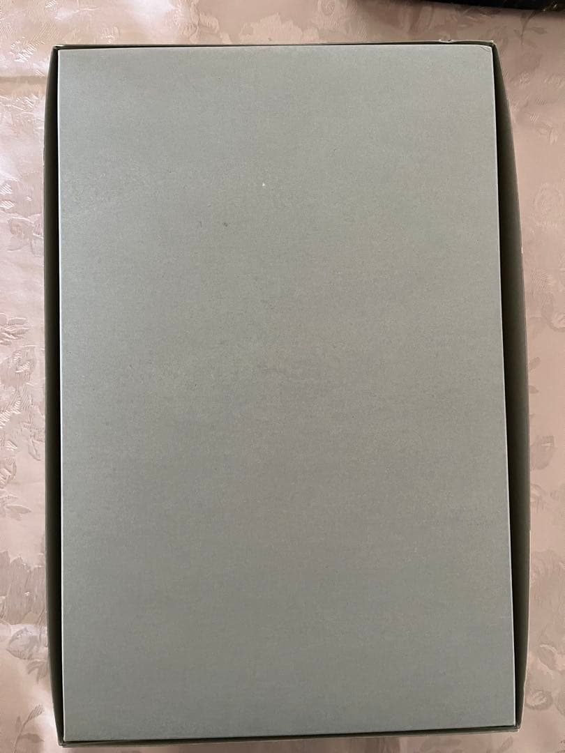 ガンダムF91 ビギナギナ ガンプラ MG