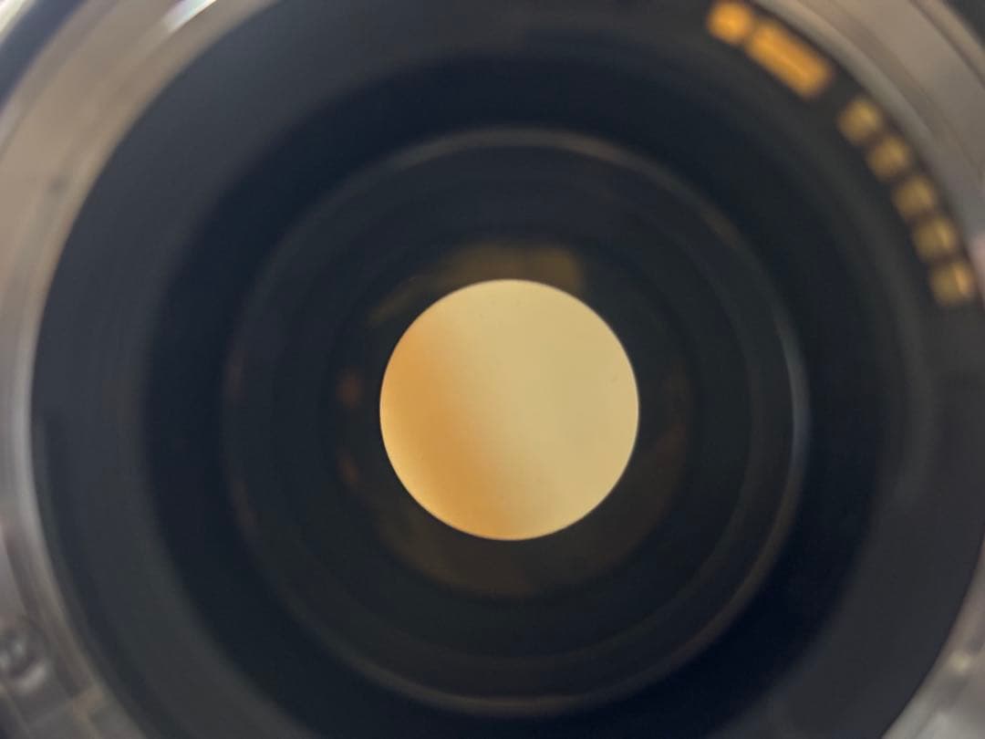 レンズ(ズーム) Canon EF 70-300 F4-5.6 L IS USM