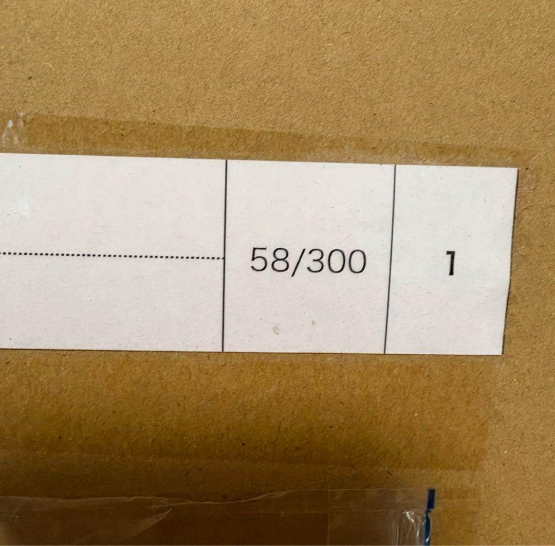 【新品未開封、即発送】【値下げ不可】村上隆 光琳とウォーホールED300