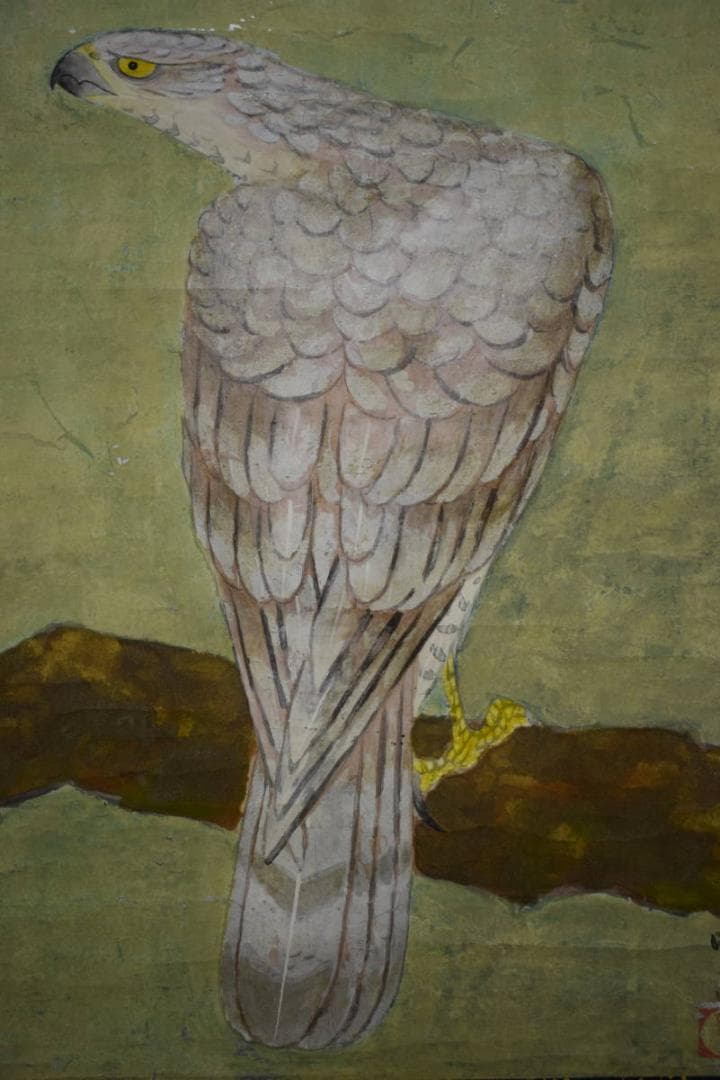 真作/宮原明良/鷹図/桐太巻二重箱付/布袋屋掛軸HG-600