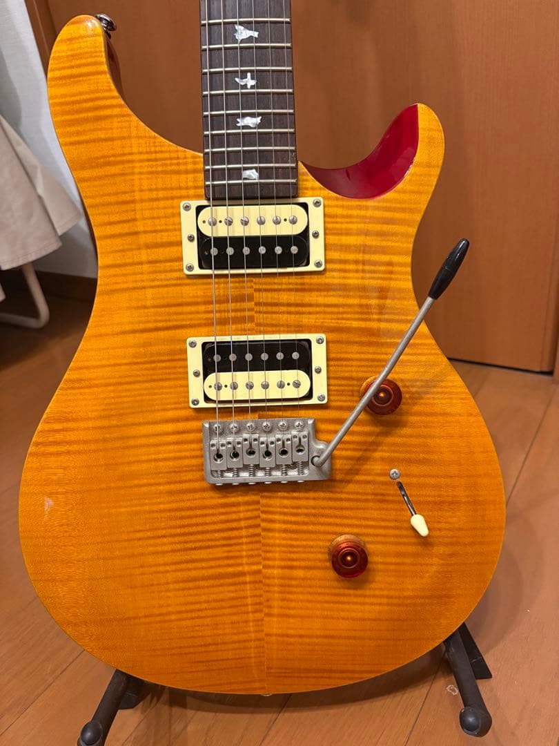 美品　Paul Reed Smith PRS SE Custom 24