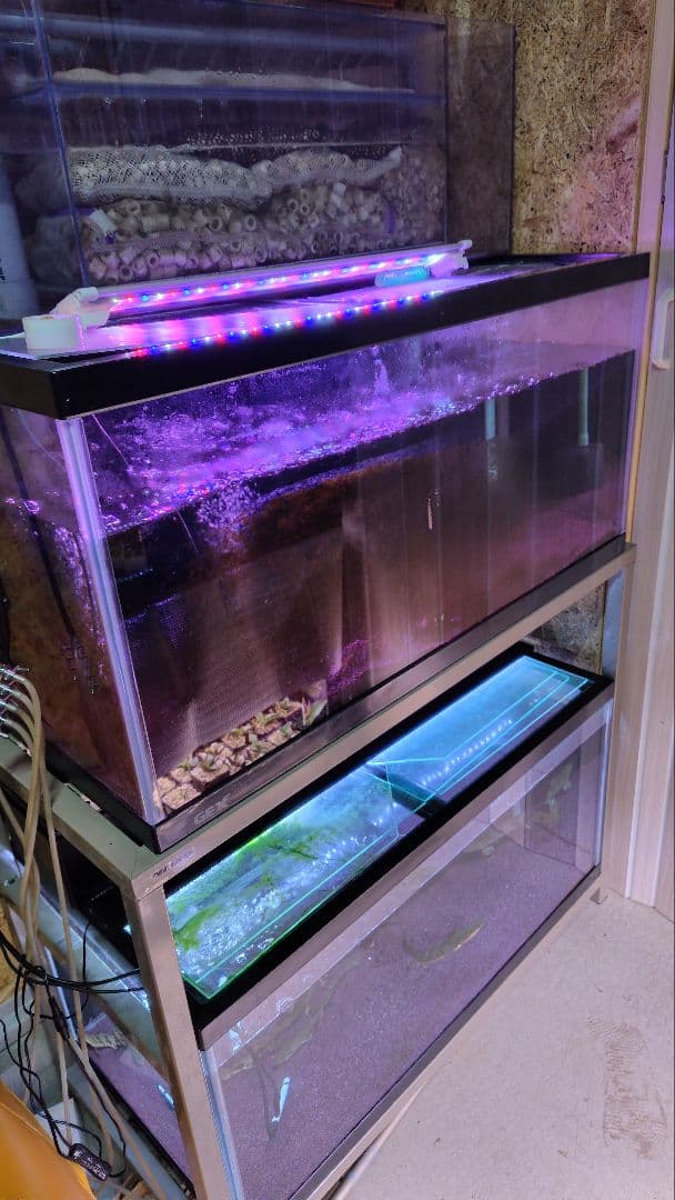 ｍiyaｋama　90ガラス水槽2台　スチール水槽台　上部フィルター