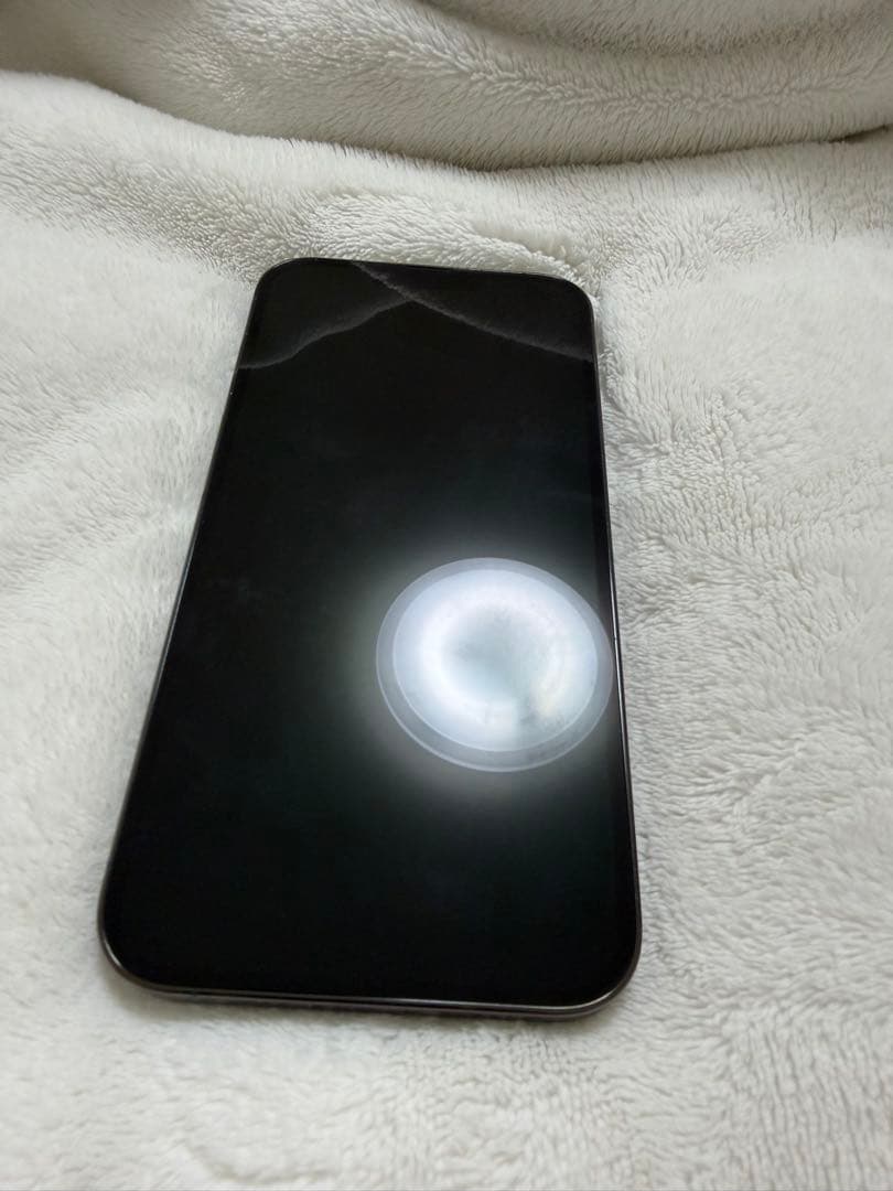 Apple iPhone13Pro Max 256GB アルパイングリーン