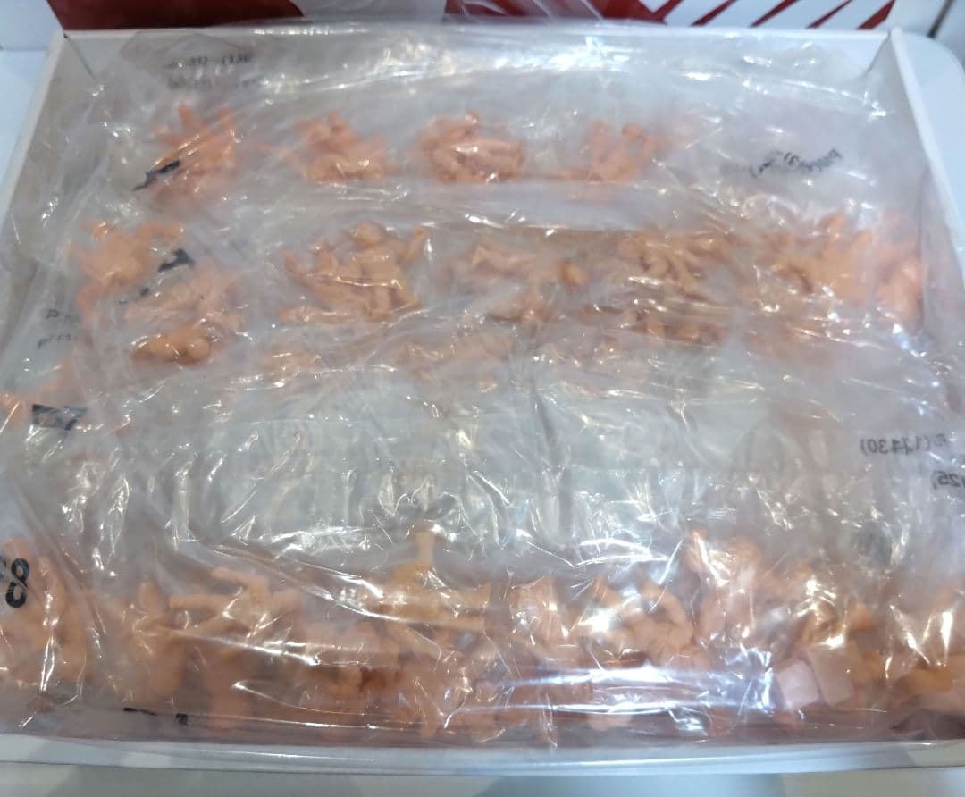 【未開封】キン肉マン・キンケシ チェックリスト付き