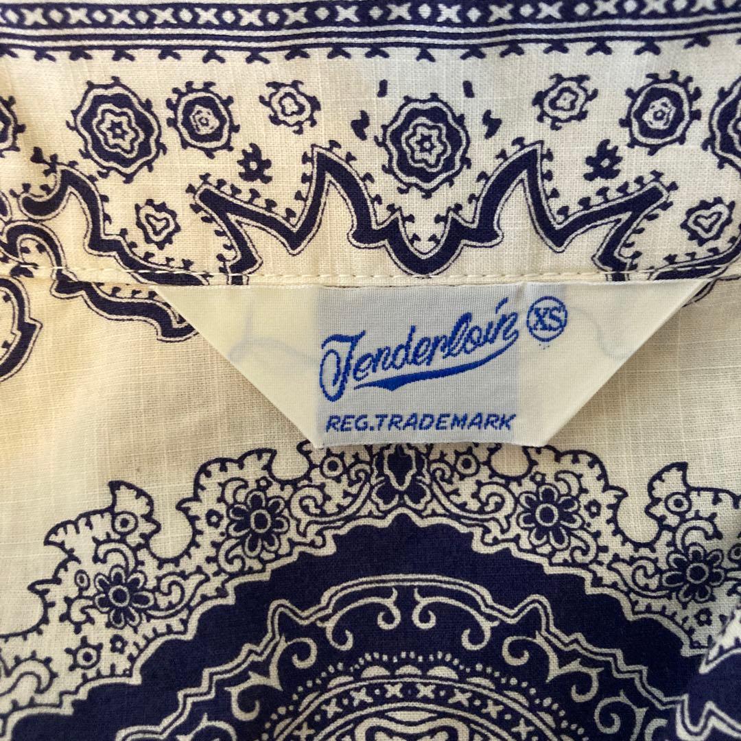 テンダーロインペイズリー