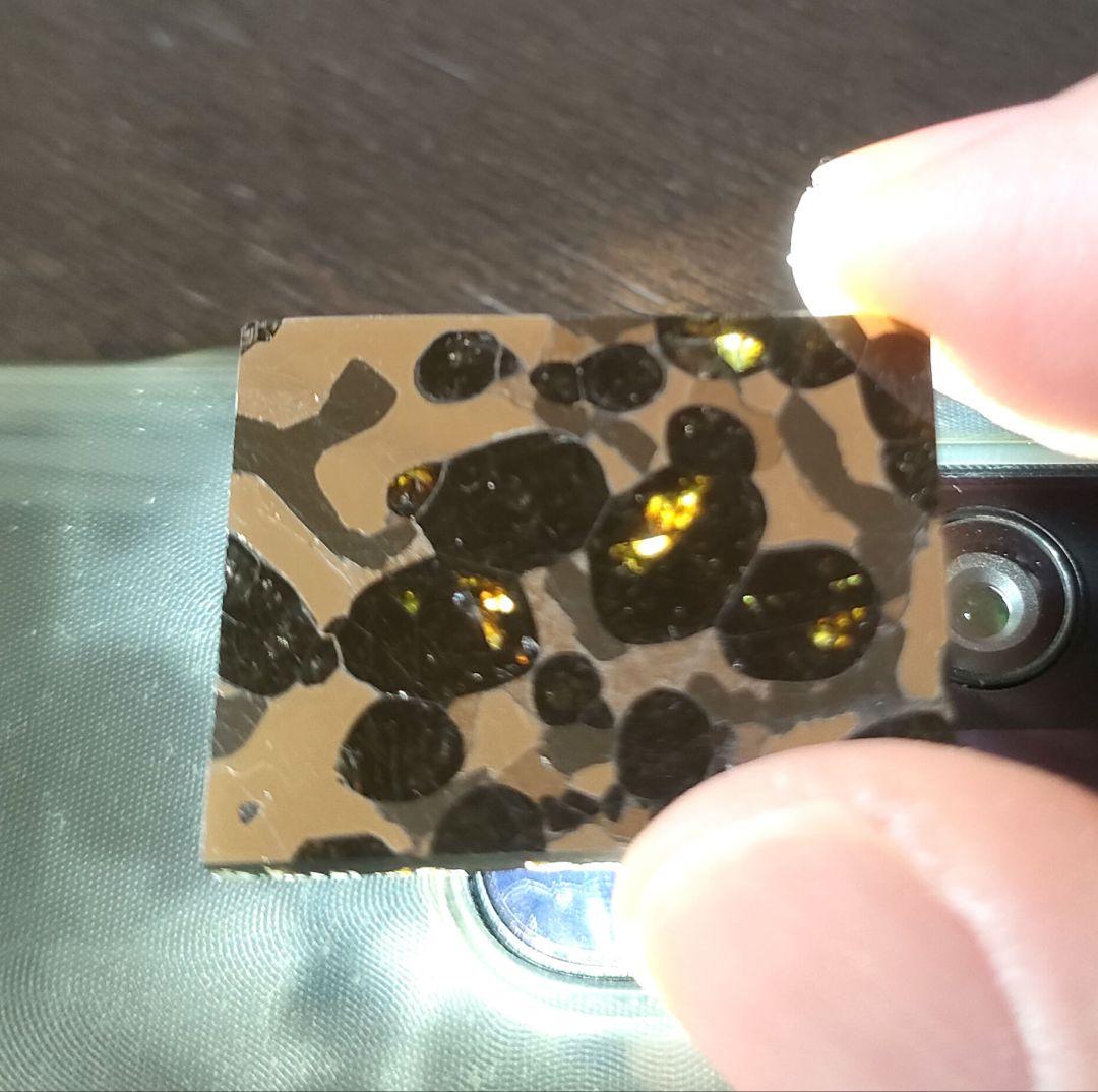 セリコ隕石 パラサイト隕石 スライス 標本