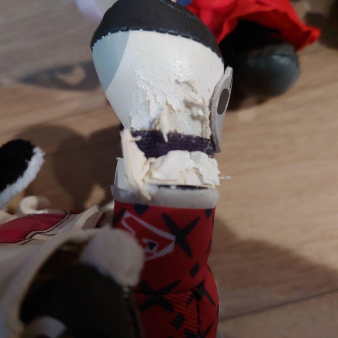 ポケットモンスター　レイナ　セレナ　ネズ　ポケモントレーナー　ぬいぐるみ