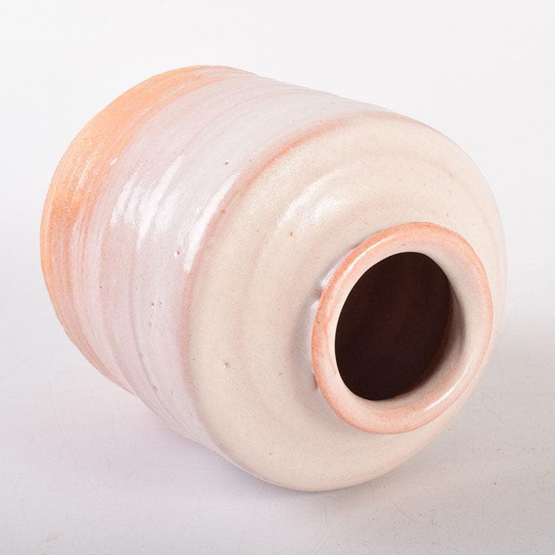 茶道具　萩焼　江月窯　肩衝茶入　在銘　共箱　V　6896