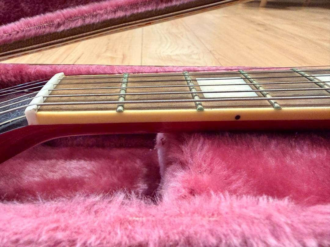 Burny SRSA-65 セミアコ　ハードケース付　(FERNANDES)