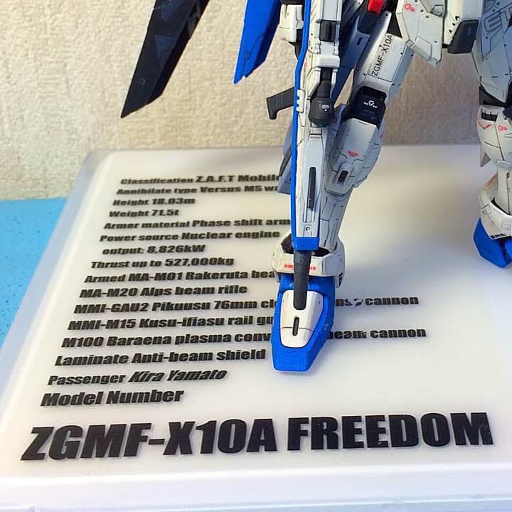 【確認用】RG 1/144 ZGMF-X10Aフリーダム ガンダム
