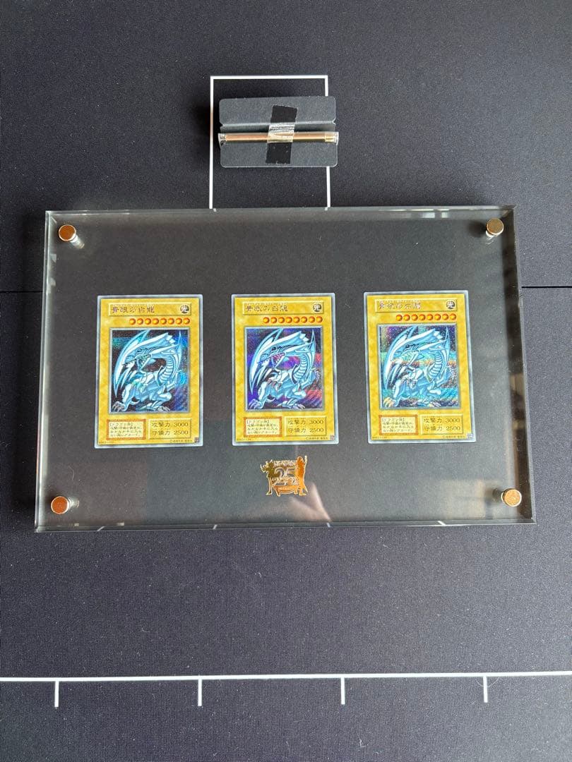 遊戯王　25TH 25周年記念　青眼の白龍 シークレットレア　海馬セット