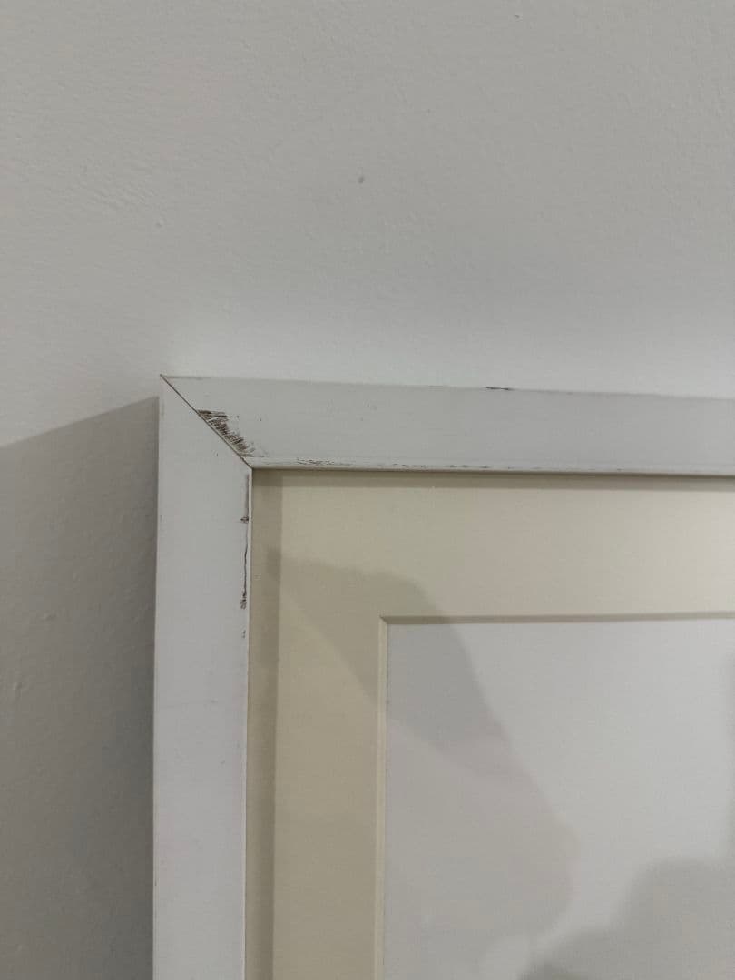 限定 直筆サイン 大友昇平 平成聖母 シルクスクリーン