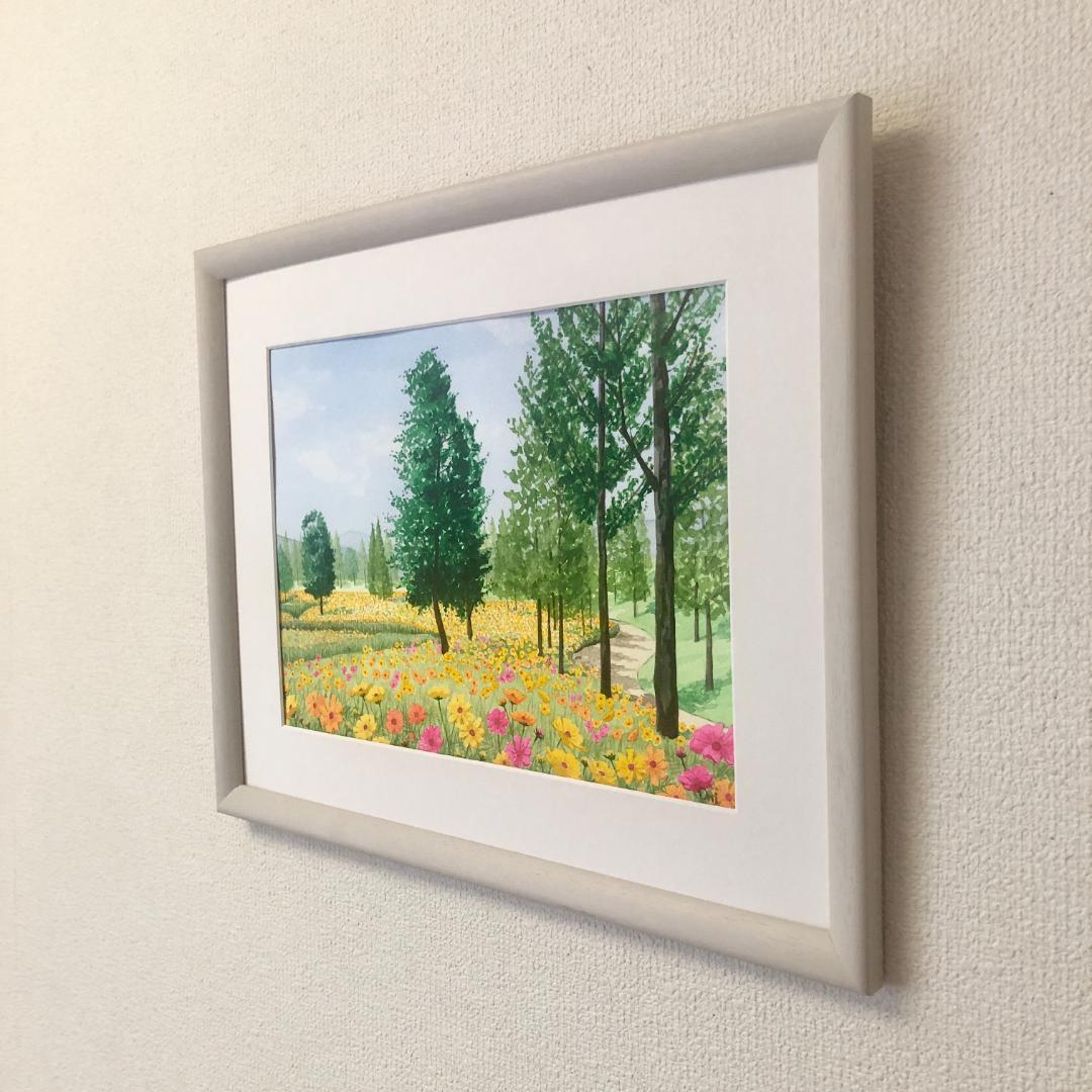 透明水彩画　原画　「キバナコスモスのフィールド02」額縁付　F4サイズ