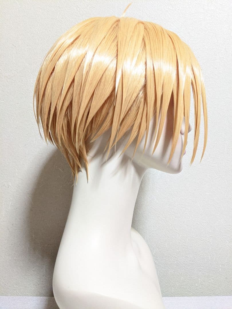 ✠朝倉 シン ウィッグ✠セット済 SAKAMOTODAYS