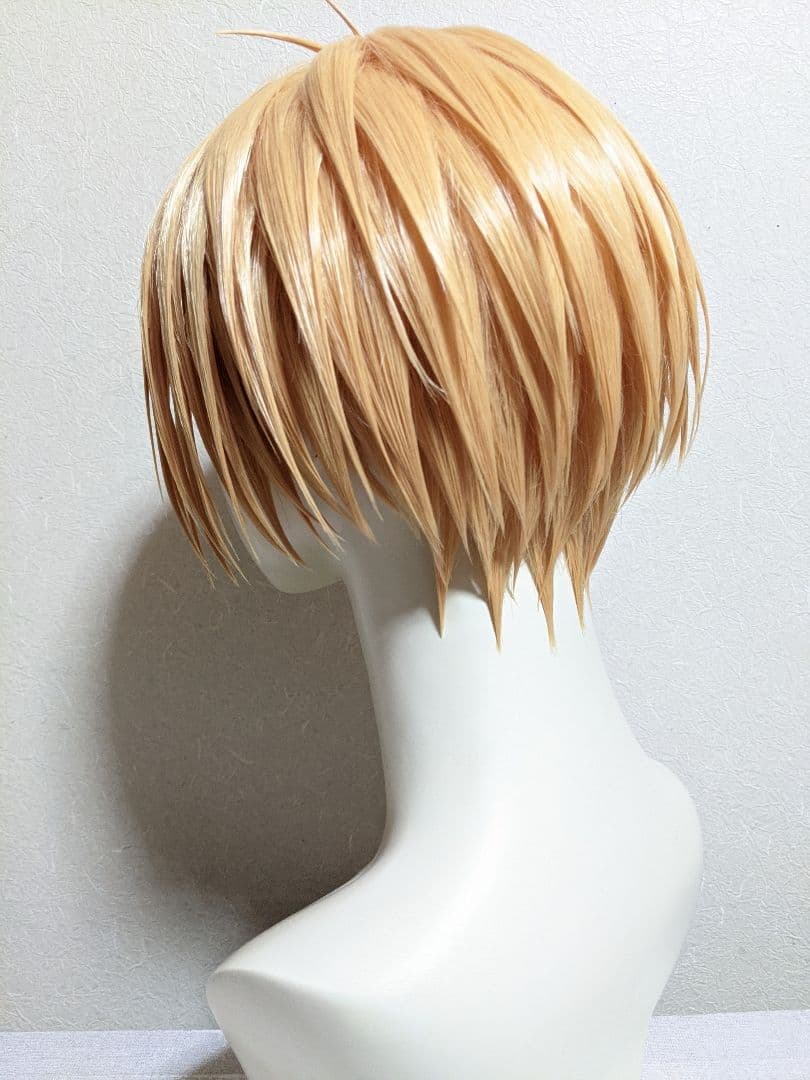 ✠朝倉 シン ウィッグ✠セット済 SAKAMOTODAYS