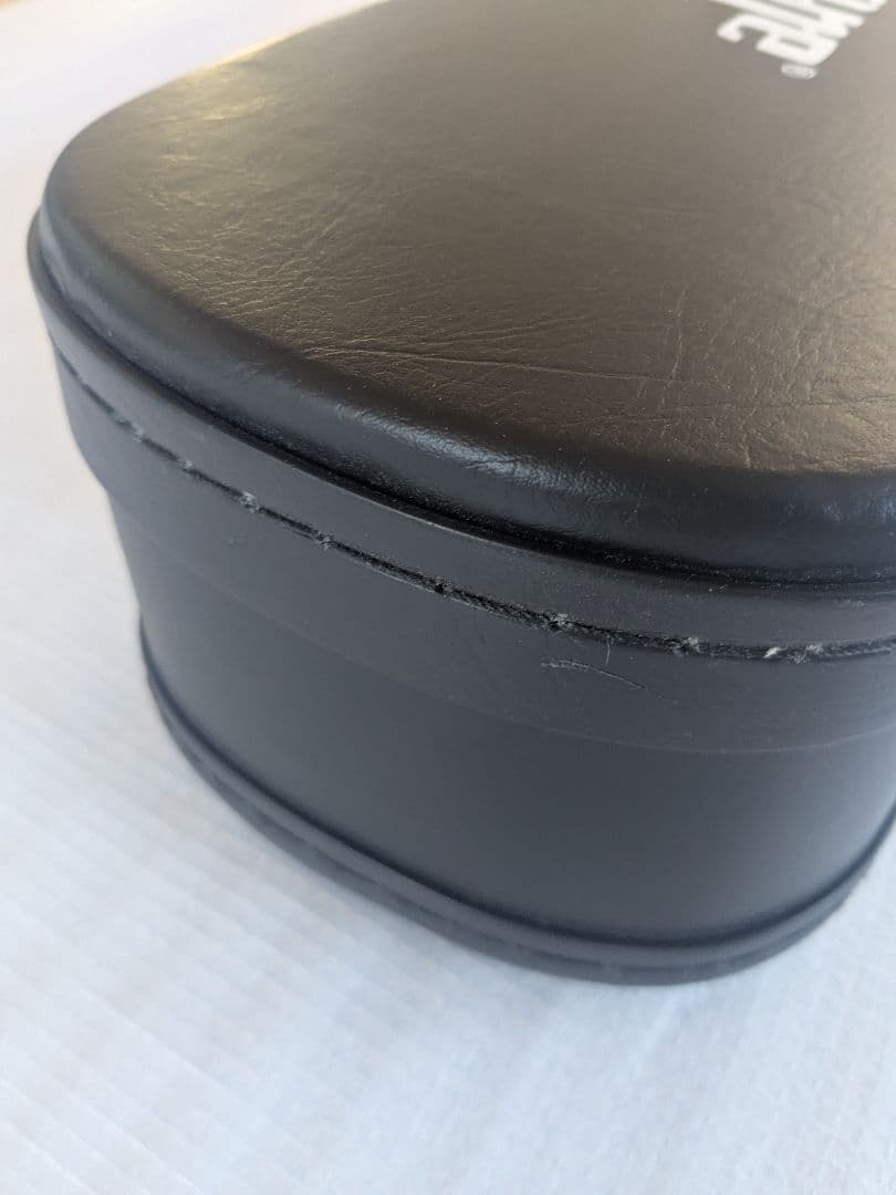 Epiphone ギターケースGREENDAYモデル　レスポールジュニア用