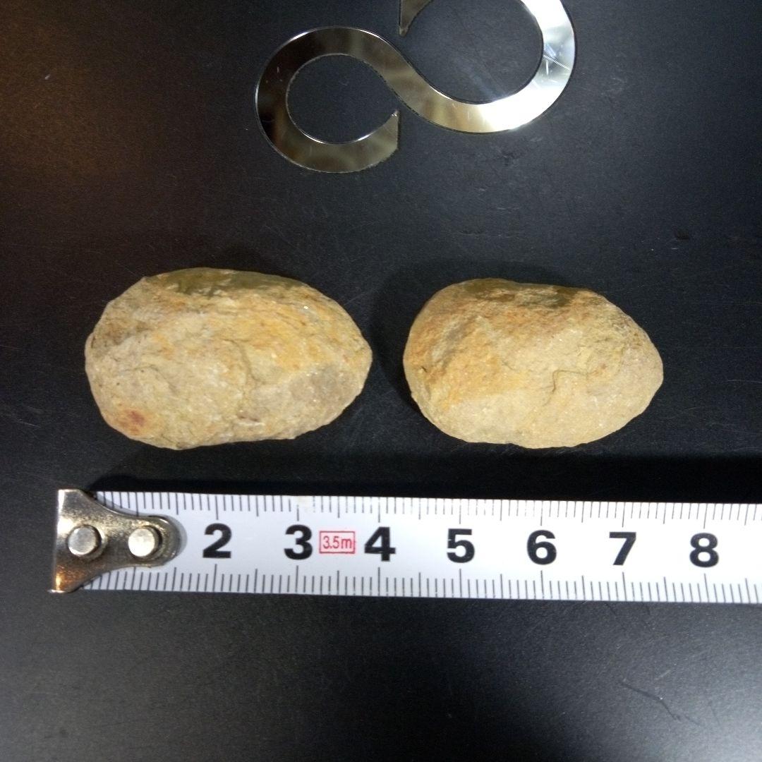 三葉虫　化石　fossil　海　ボリビア産　trilobite　ボリビア化石郡①