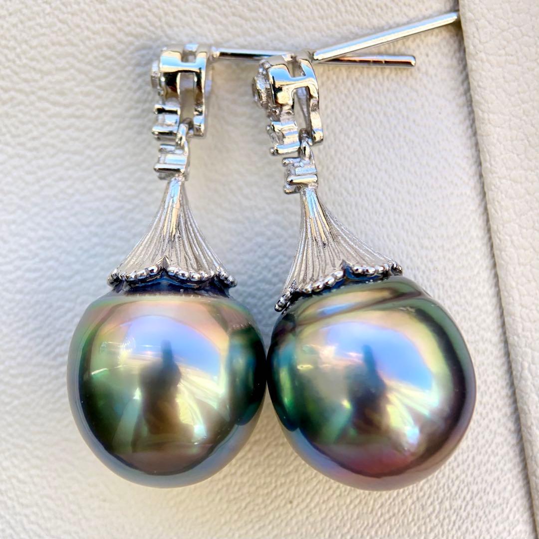 本真珠南洋黒蝶真珠グリーン虹色13.5×11.5㍉ピアスBL913