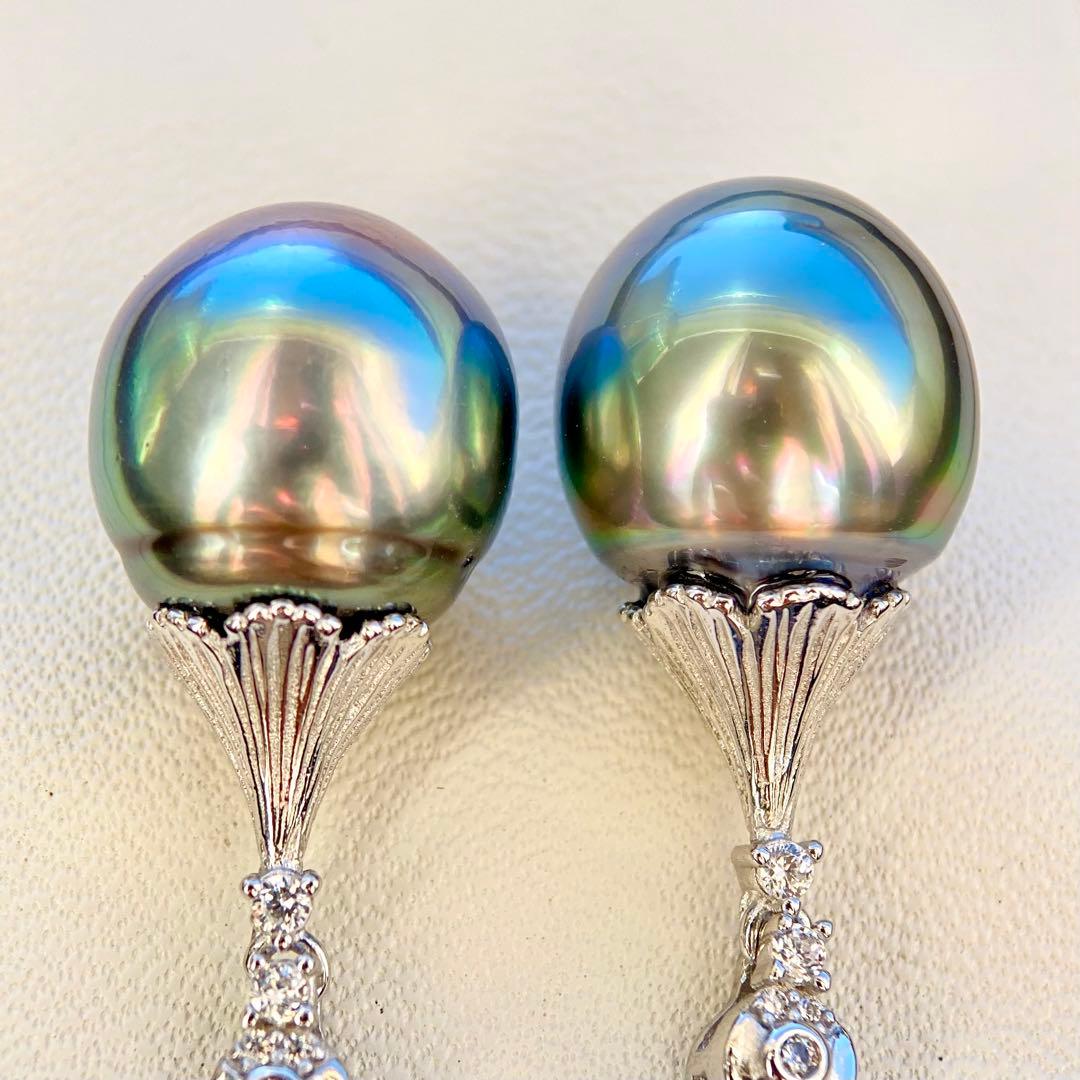 本真珠南洋黒蝶真珠グリーン虹色13.5×11.5㍉ピアスBL913