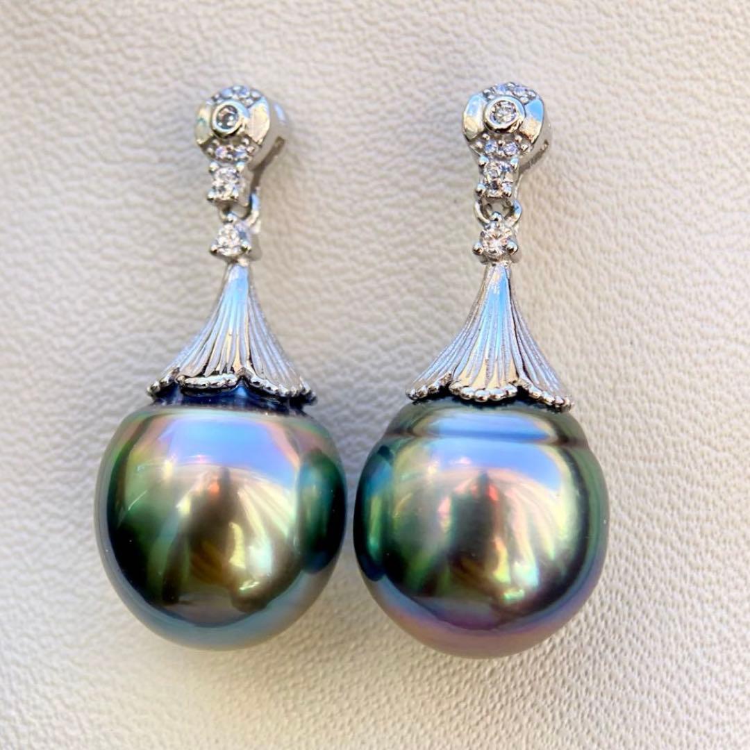 本真珠南洋黒蝶真珠グリーン虹色13.5×11.5㍉ピアスBL913