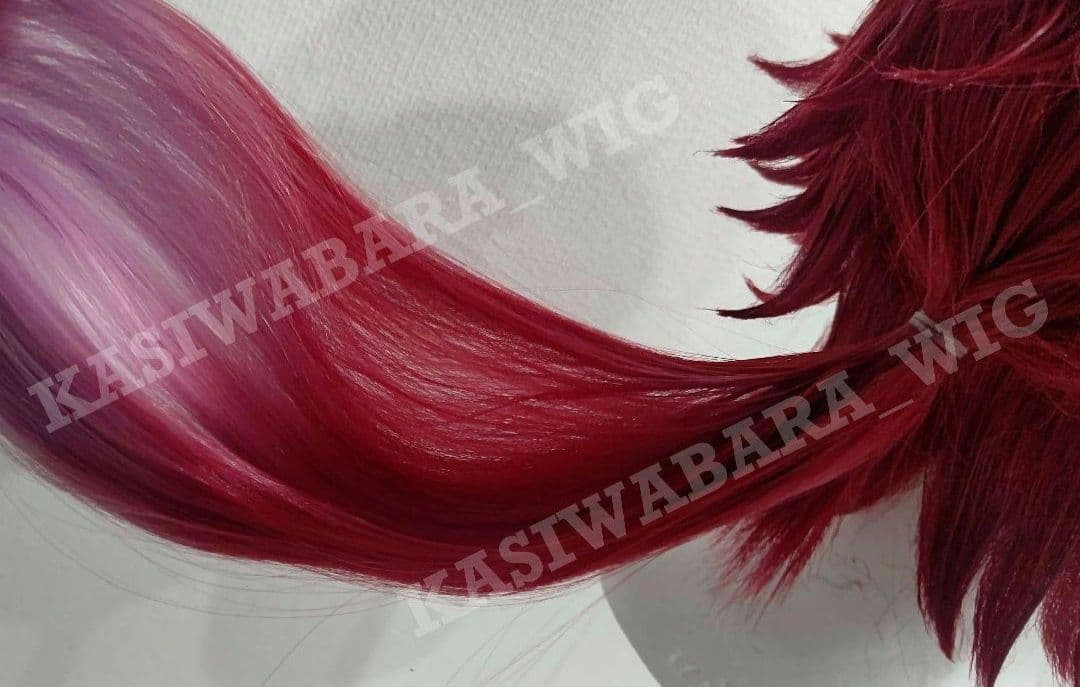 にじさんじ　ローレン　コスプレ衣装　ウィッグ