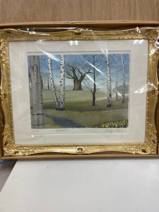 白樺 リトグラフ(ゴールド)