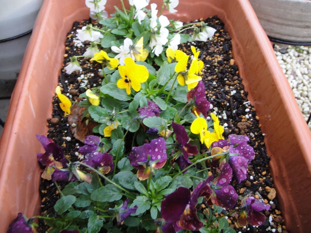 ☆動作OK SONY デジカメ DSC-T900 メモリースティック&電池付き