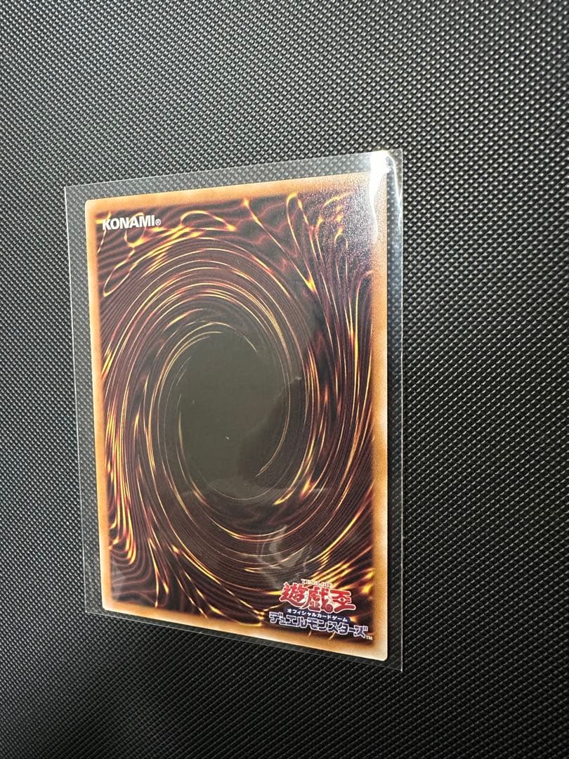 影霊翼騎リーシャドール ウェンディクルフ　25th