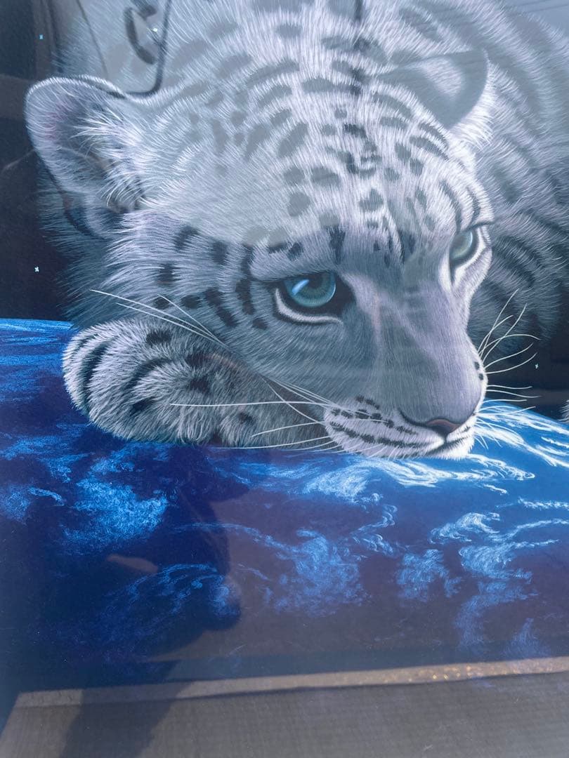 真作保証シムシメール　「ピースオンアース」 限定NO. 6/195 保証書付き