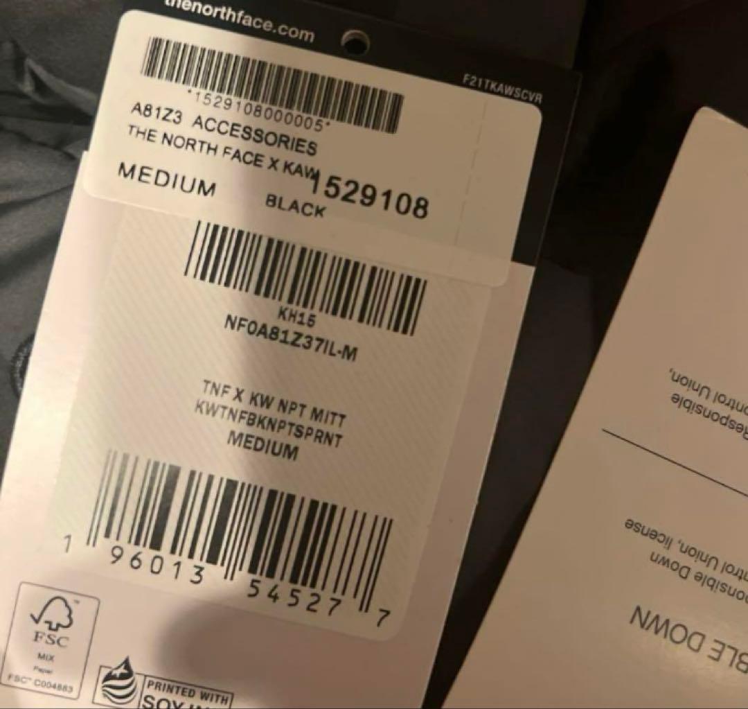 The North Face Kaws Gloves ブラック コラボ
