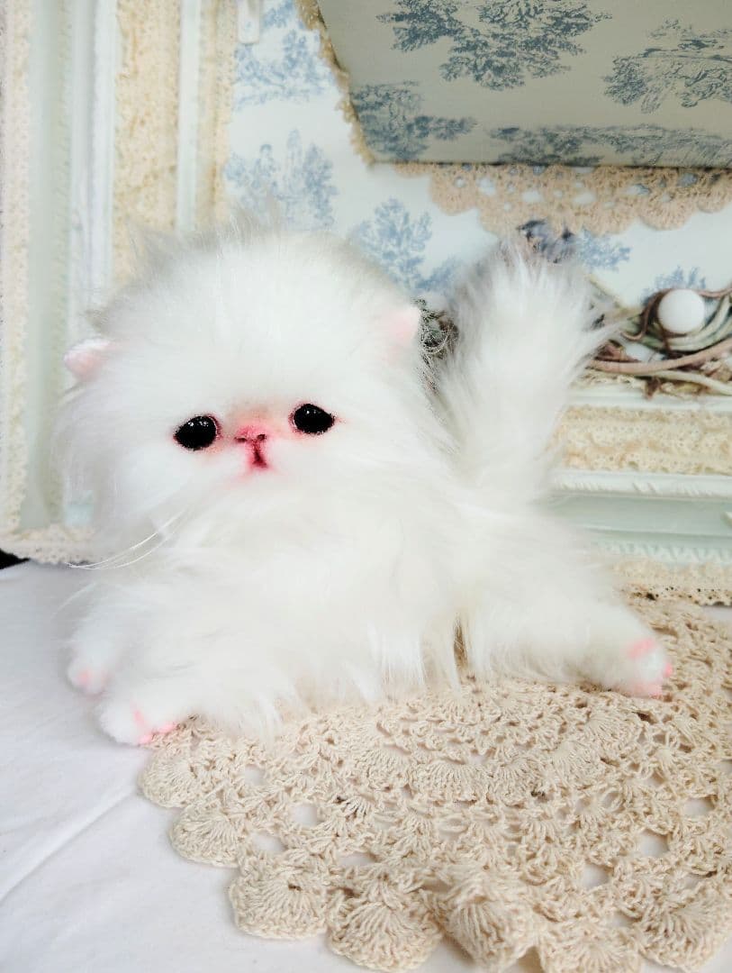 子猫♡寝起きのシロップちゃん♡アートドール♡ぬいぐるみ♡