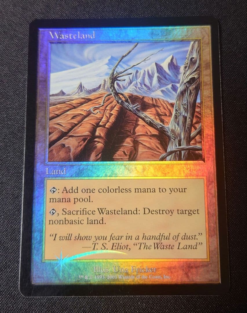 MTG 不毛の大地 プログラム褒賞 英語 foil 1枚