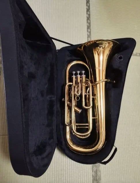 【動作確認済】ケルントナー ユーフォニアム マウスピース セミハードケース付