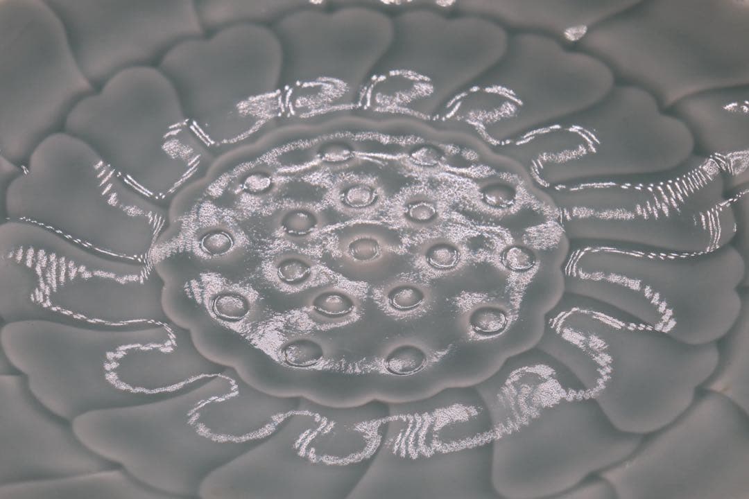 中国　青磁　蓮心模様花口大皿　大清乾隆年製銘　送料込み250802