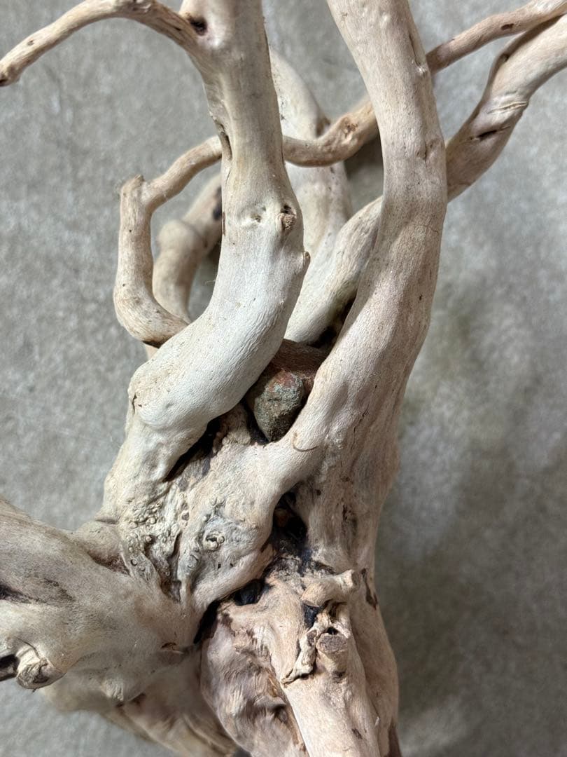 ADA ブランチウッド うす白