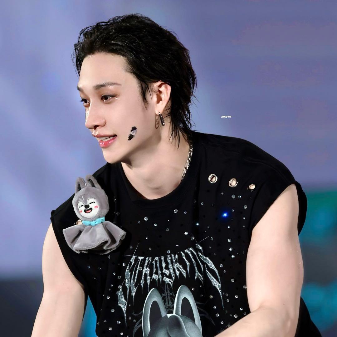 Straykids ウルフチャン まとめ売り 10点　スキズ　バンチャン