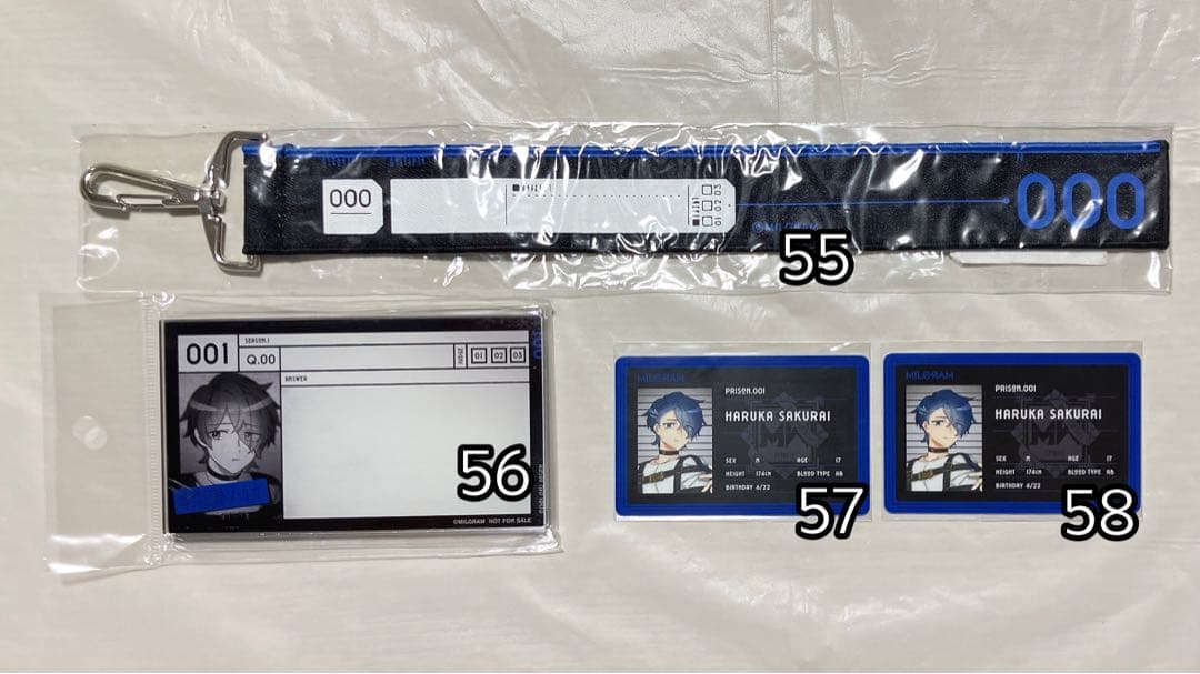 【商品追加しました】ミルグラム MILGRAM 櫻井遥 ハルカ まとめセット