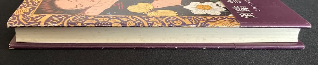 No.743『ナルシス残照』石川貴一 / 山本タカト装画 / 新風舎