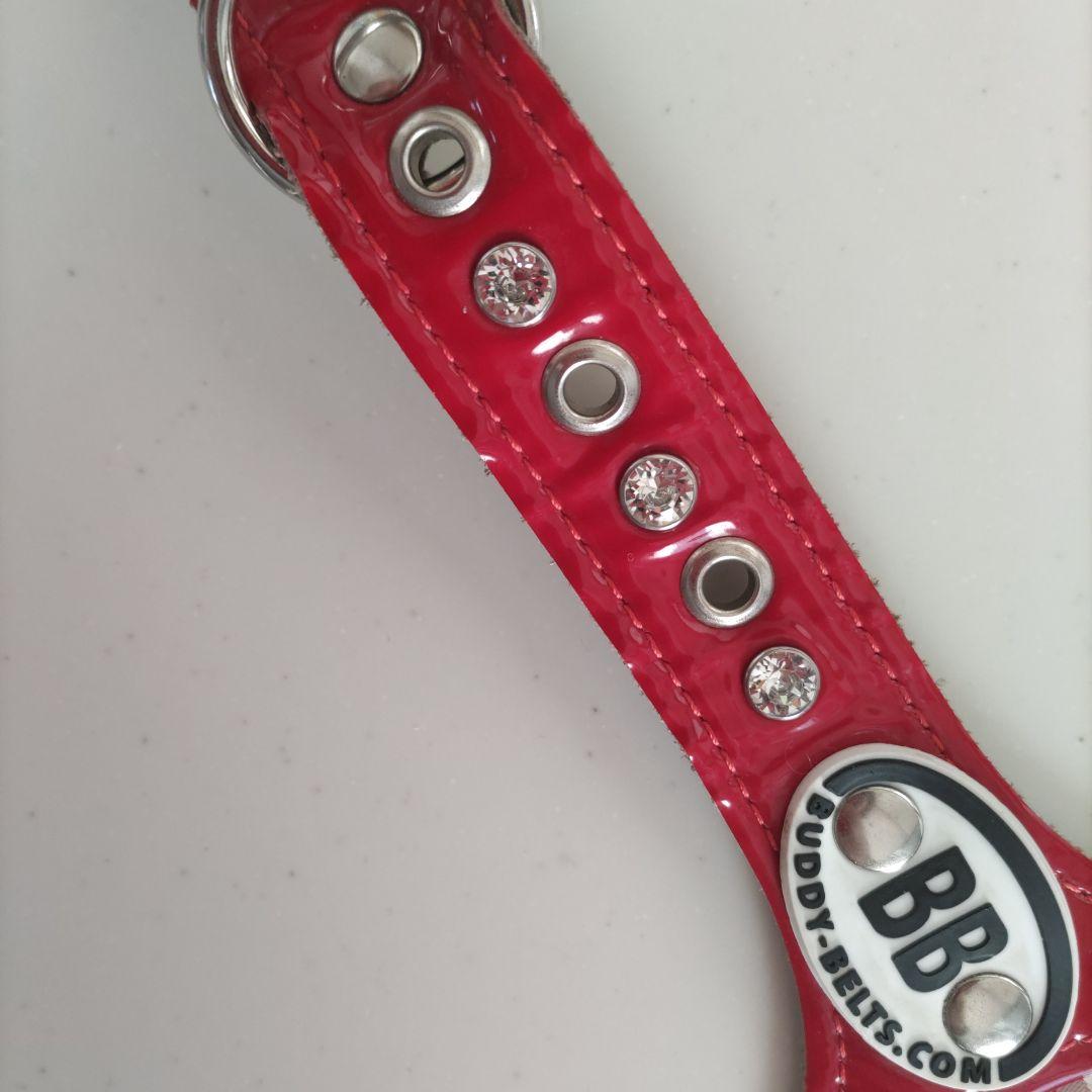 バディベルト ハ－ネスBBベルト ６号エナメル！レッド スワロフスキー付き