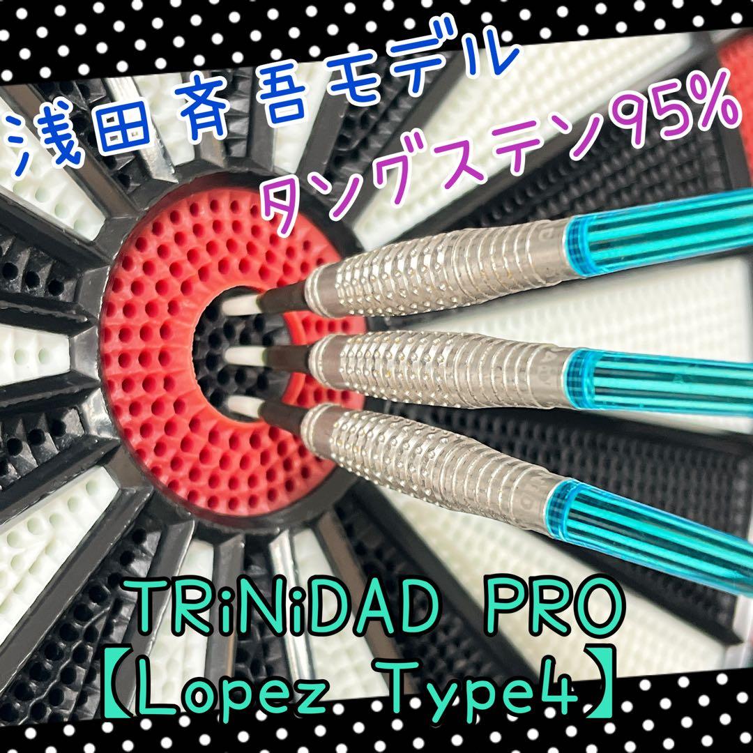 ダーツバレル【トリニダード】ロペス タイプ4 浅田斉吾モデル