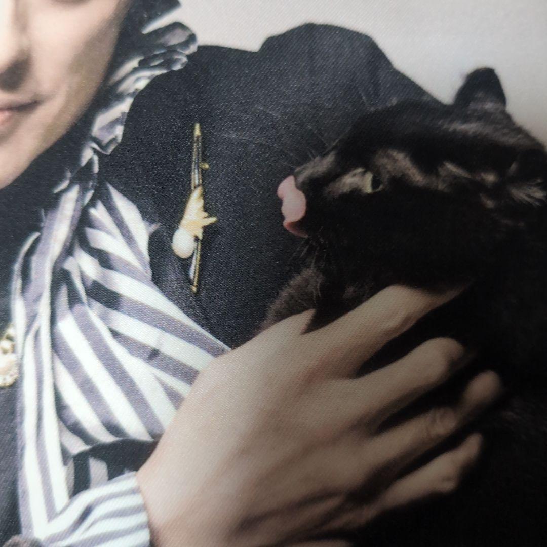 BUCK-TICK　クッションカバー