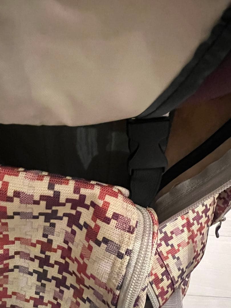 Burton ソフトキャリーバッグ