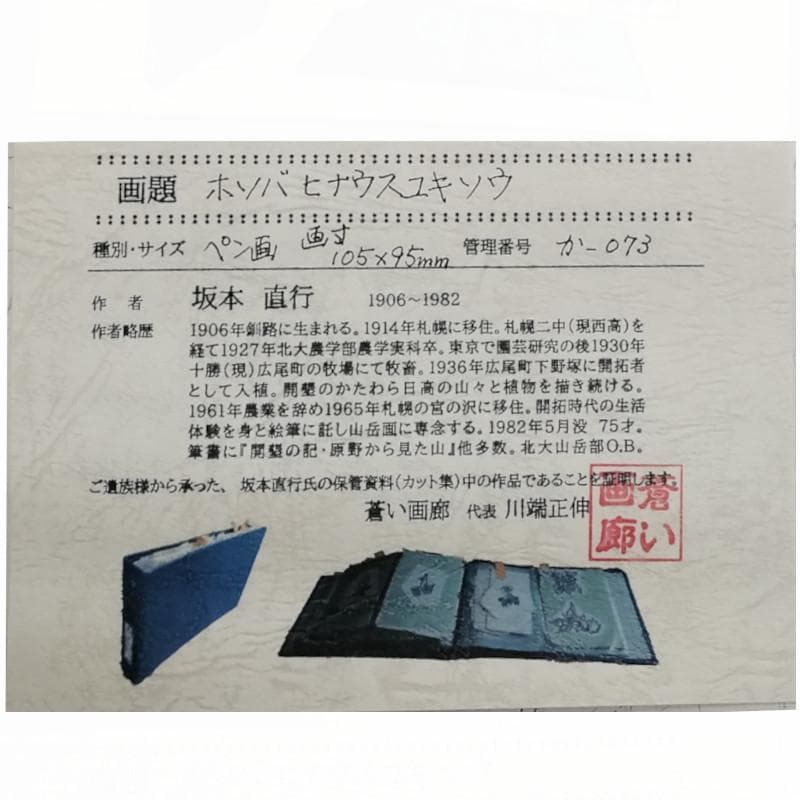 ☆坂本直行☆「 ホソバヒナウスユキソウ 」ペン画　インチサイズ　未使用！