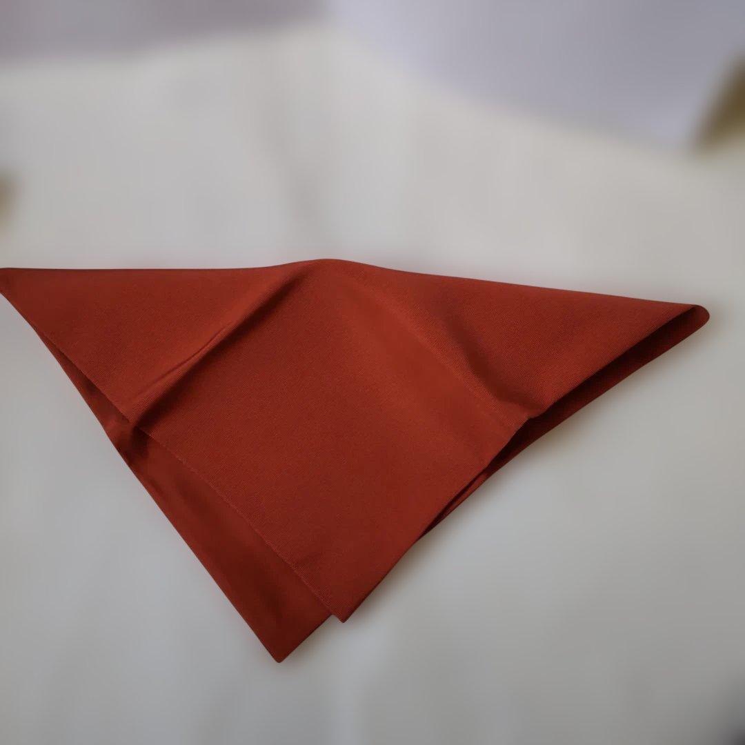 茶道用 帛紗 佐保路 当世柿 友禅染 清水公照 富久紗 楊子・扇子セット 新品