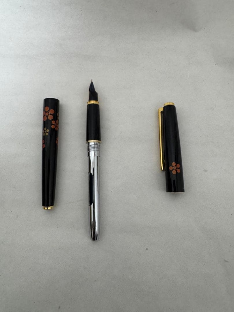 j*n様 パイロット PILOT 万年筆 14K 585 (F)