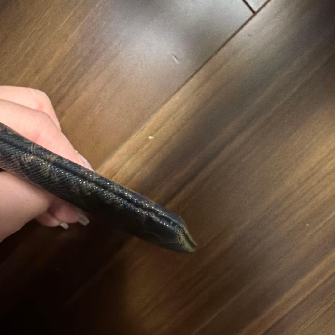 パース / CELINEプリント入りトリオンフキャンバス