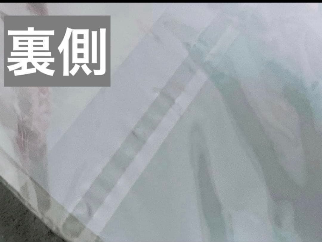 【美品】 Acid Black Cherry ポスター 10点