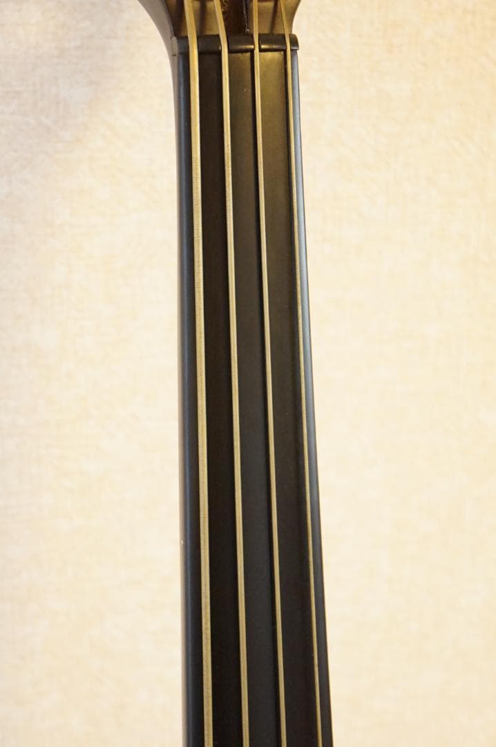 Hallstatt KYB-200 アップライトベース　ケース付き