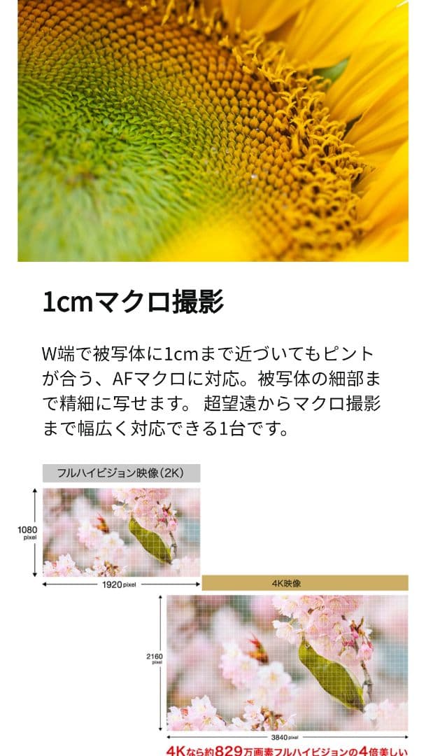 パナソニック　デジタルカメラ